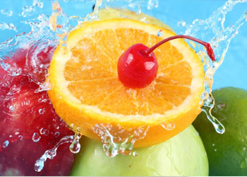 Linea alimentos