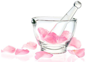 linea belleza